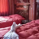 Hostal Will House