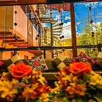 Andean Atoq Hostel