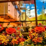 Andean Atoq Hostel
