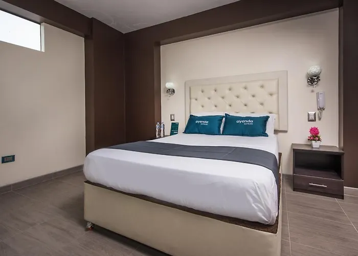 Olimpo Hotel Sauna & Spa