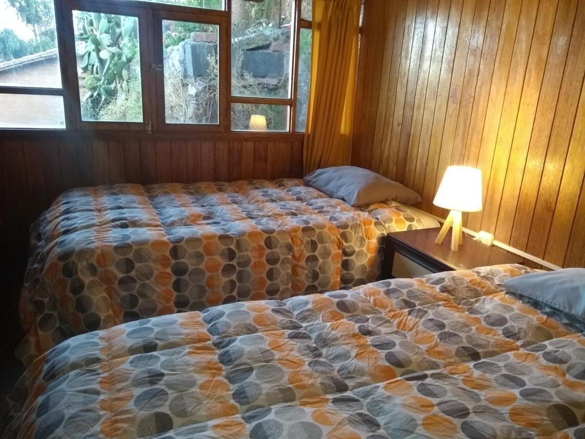 Viru & Experience Bed & Breakfast 2*
