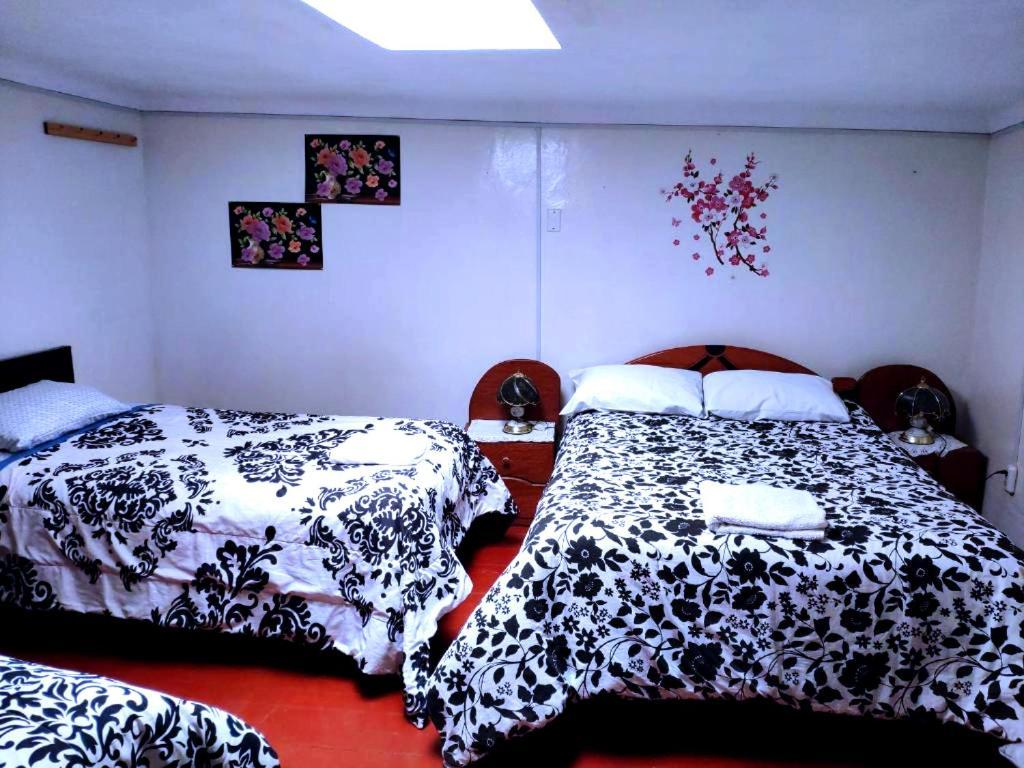 Guest house Cuzco Central Hostel *