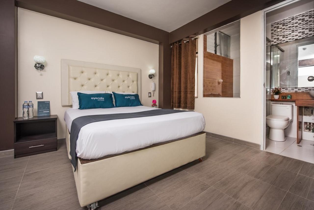 Olimpo Sauna & 3*