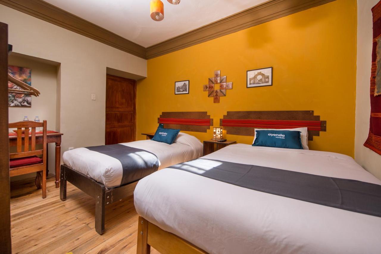 Guest house Ayenda El Labrador *
