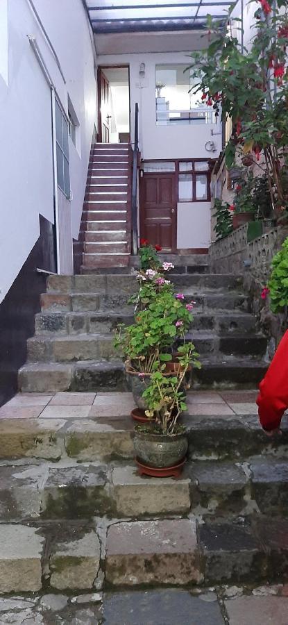 Vista Guest house *