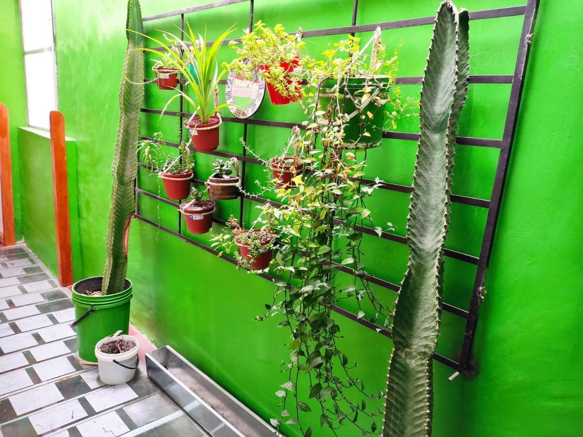 Apartment Samayuna Wasi , Entire