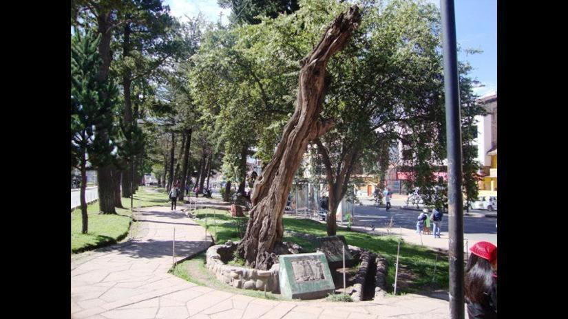 Brizio Homestay Cusco