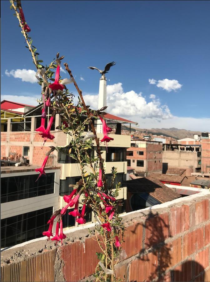 Hotel Peru *