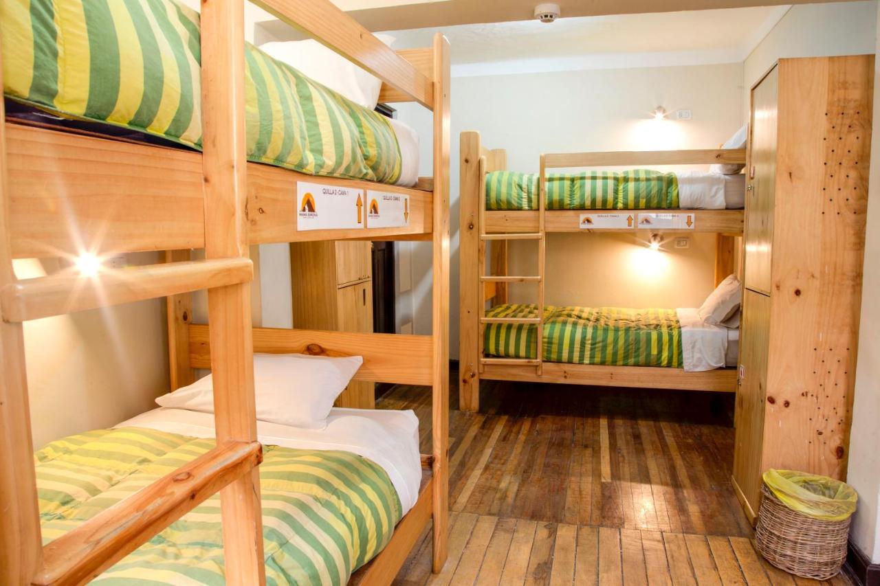 Hostel Bear Packer Cusco