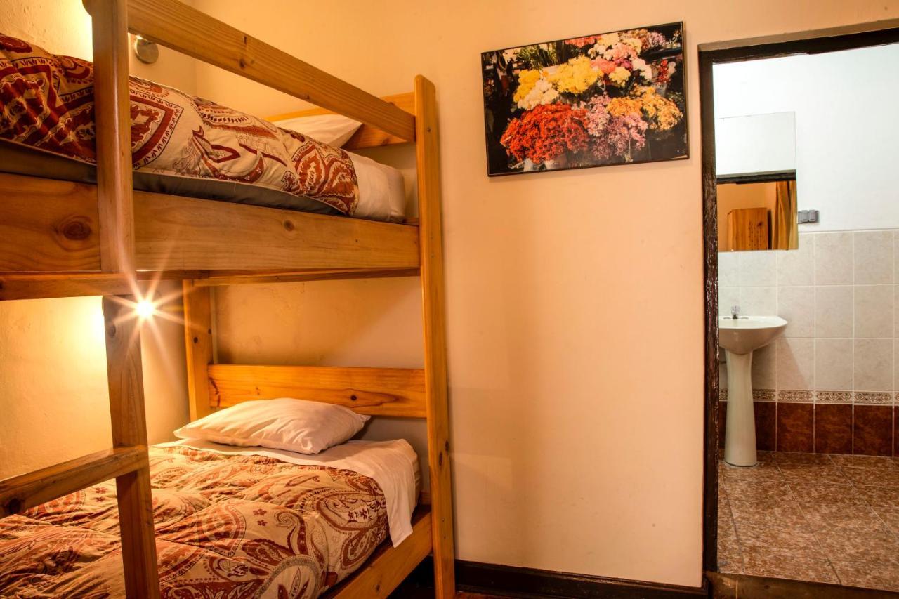 Bear Packer Hostel *