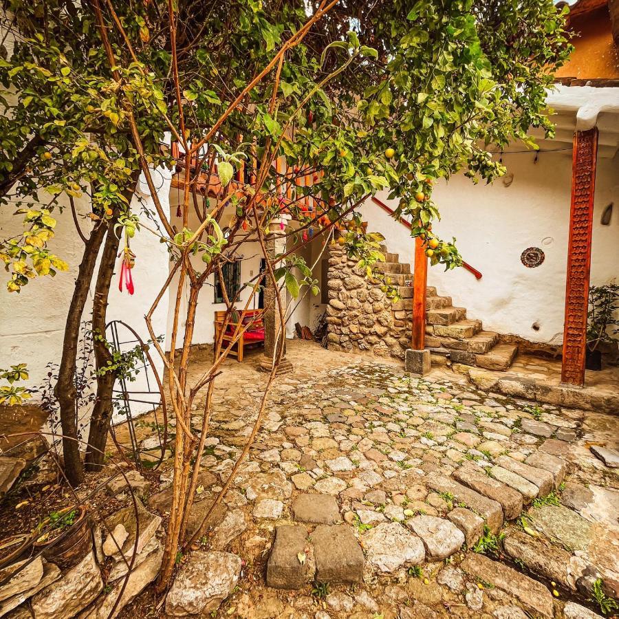 Flamenco San Blas Homestay