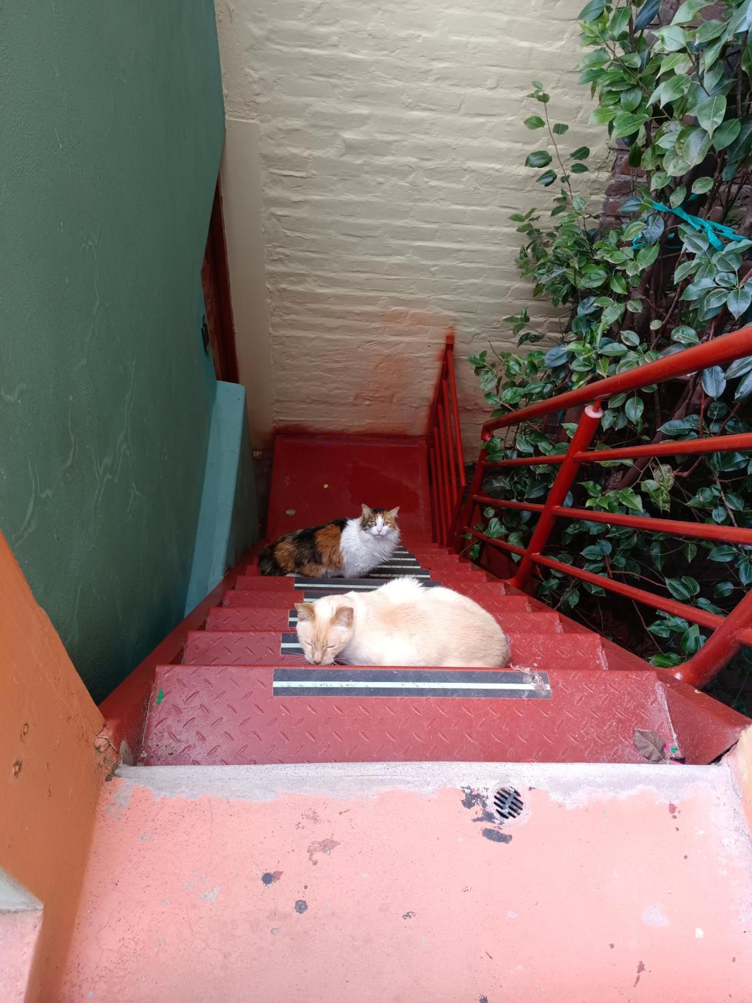 Apartamento Casa Victoria