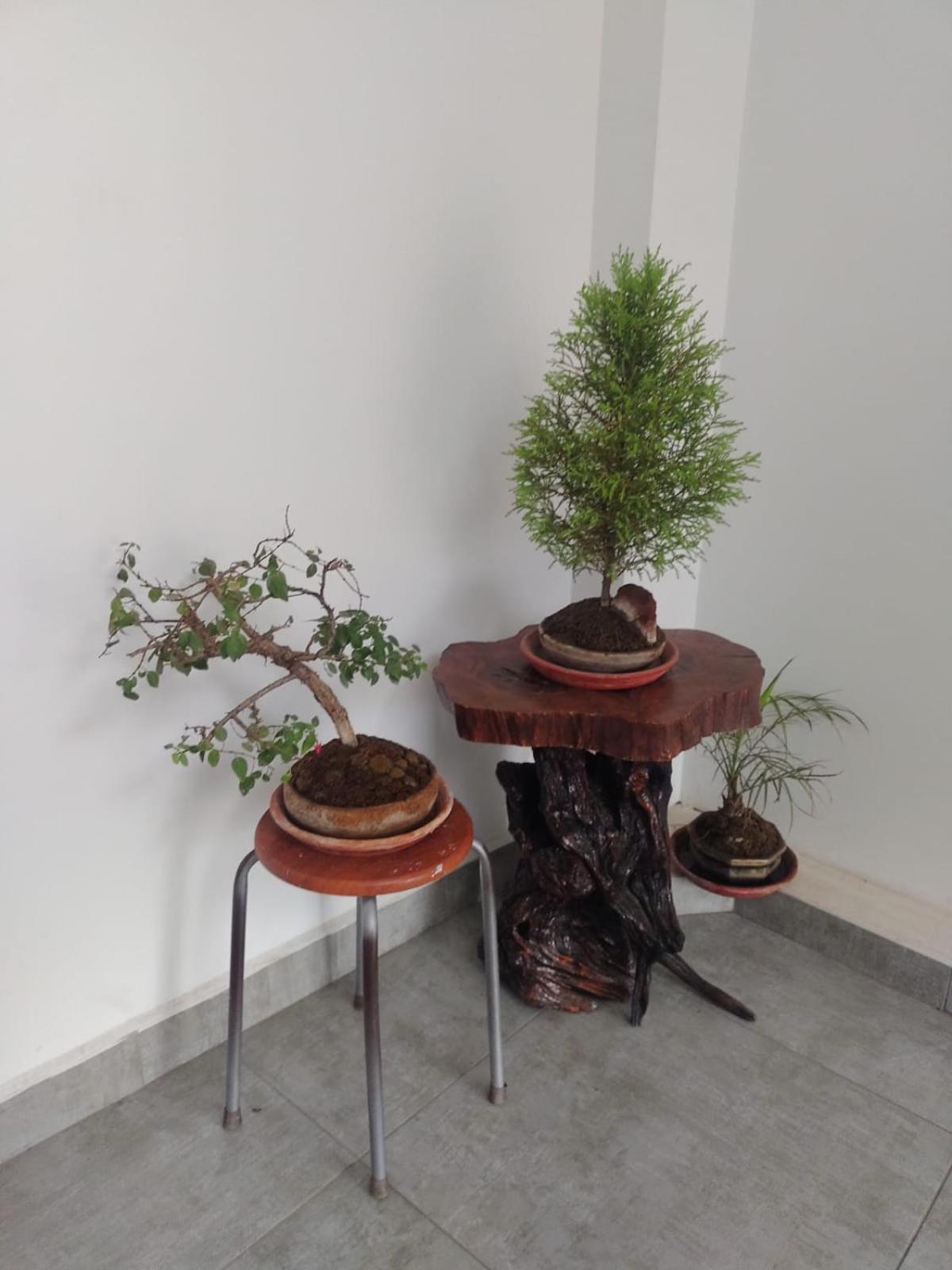Apartamento Comiqwasi