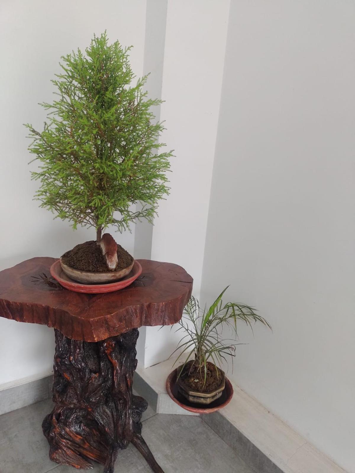 Comiqwasi Apartamento *