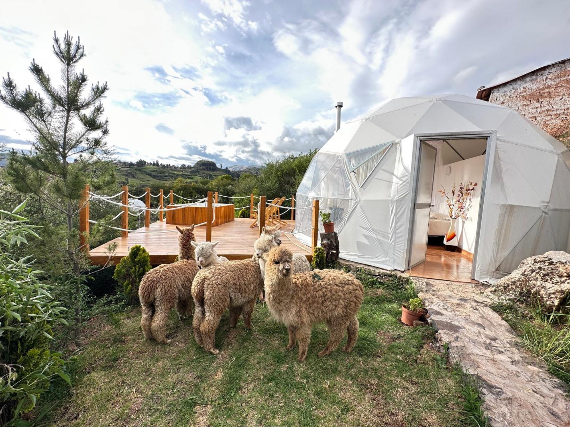 Sky Domes Luxury tent