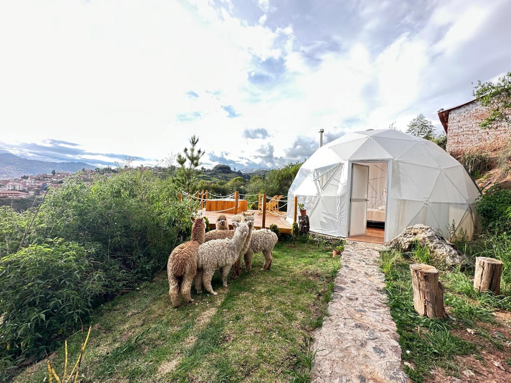 Sky Domes Luxury tent *