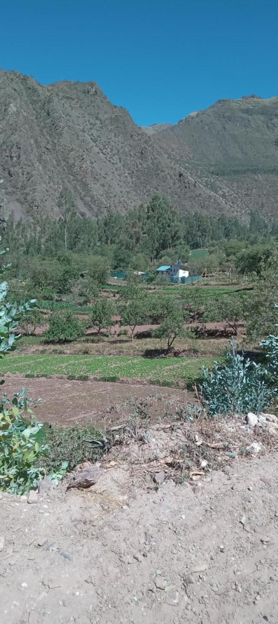 Private In A Beautiful Acre Land Cusco