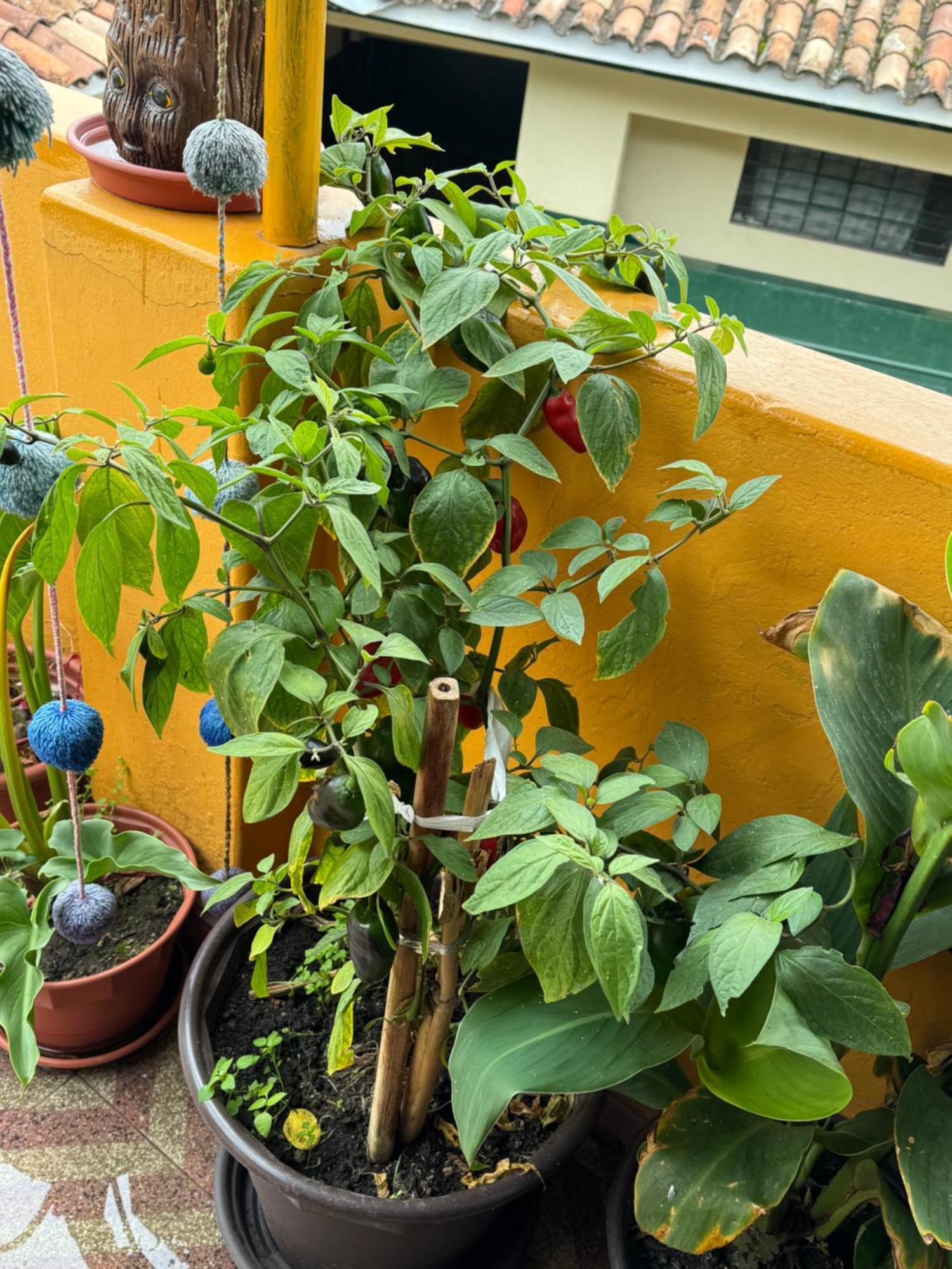 Cozy With Terrace Center