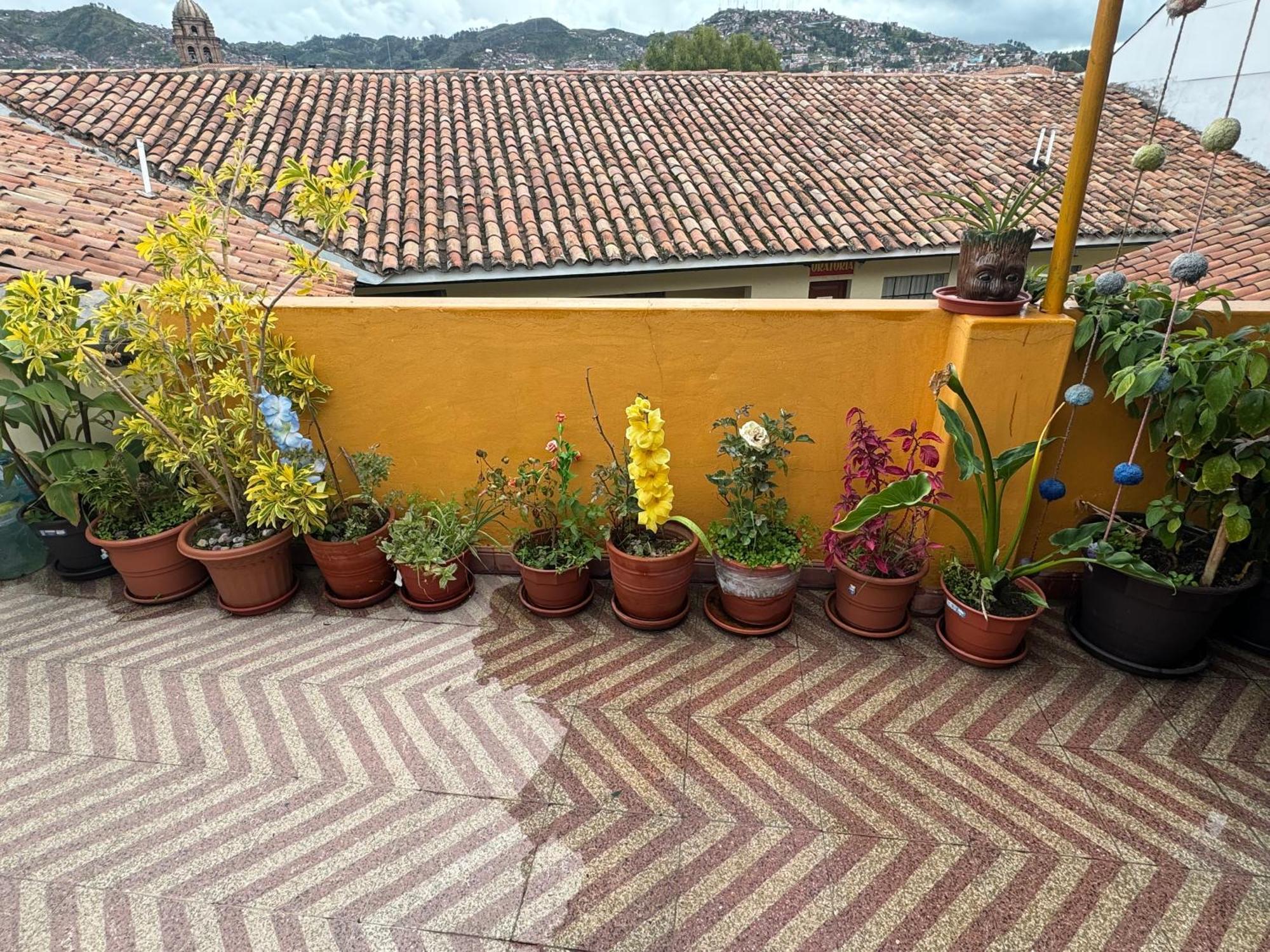 Cozy With Terrace Center Apartment