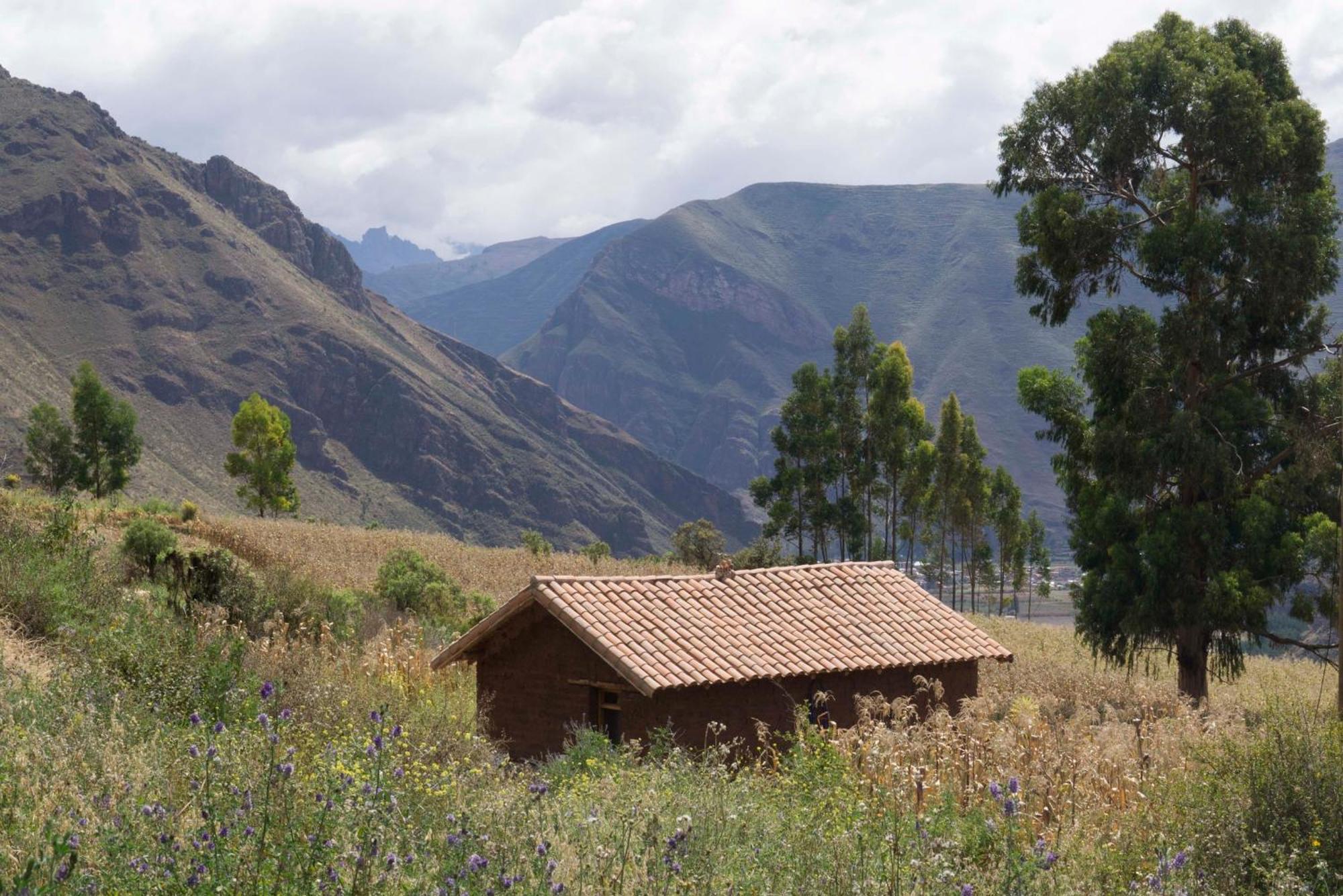Cabana Feliciana Con Vistas Del Valle Sagrado Apartment Cusco