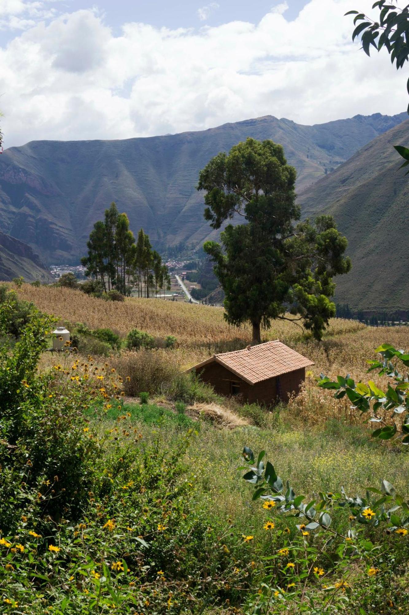 Cabana Feliciana Con Vistas Del Valle Sagrado