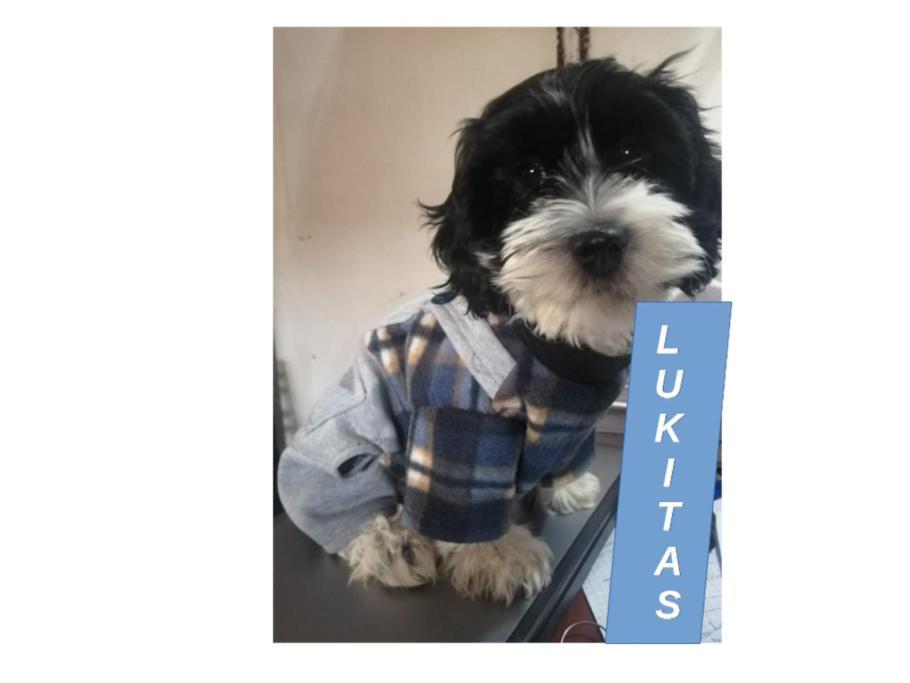 Entier Lukitas *