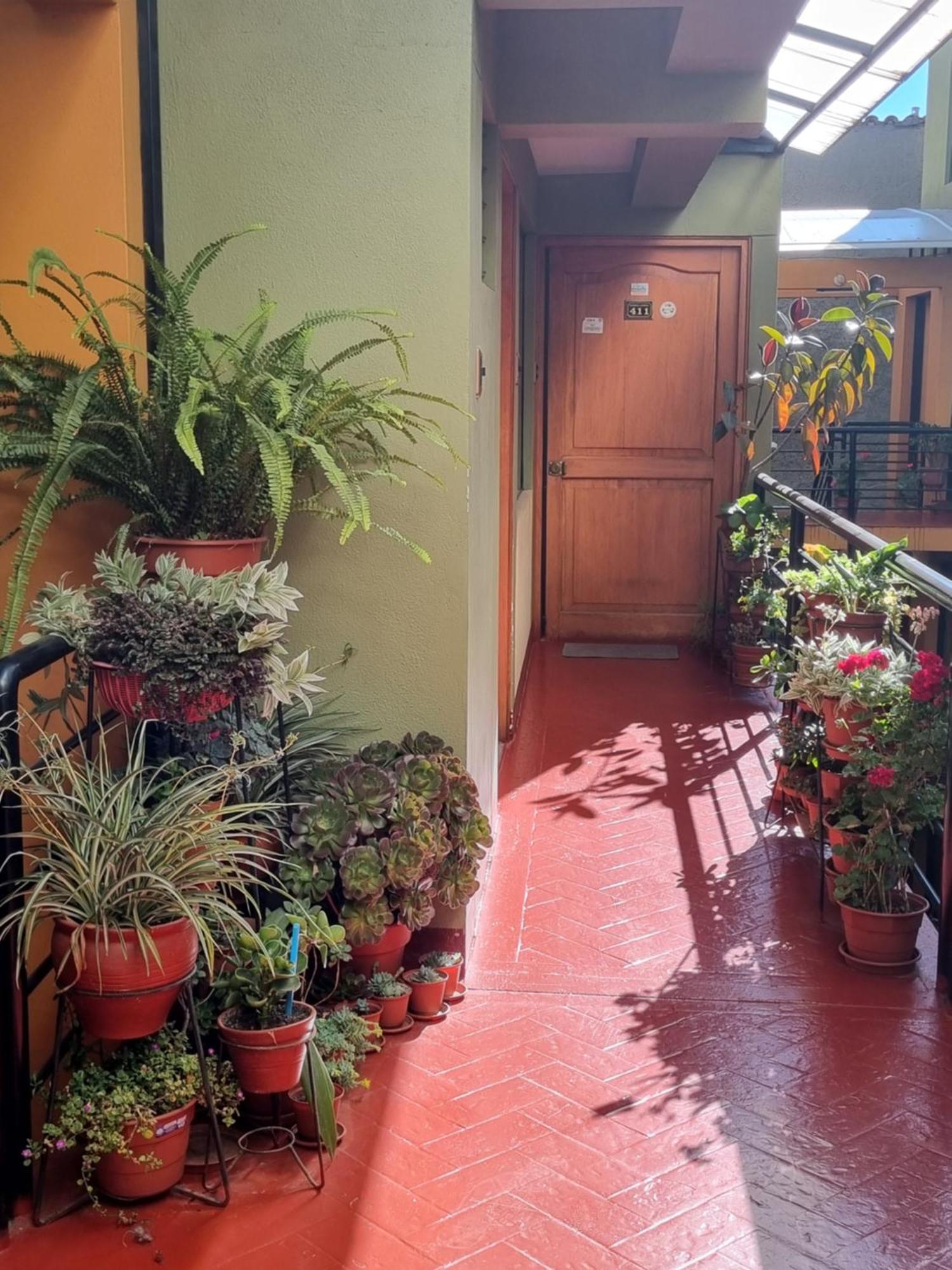 Apartamento Departamento Temporal En *