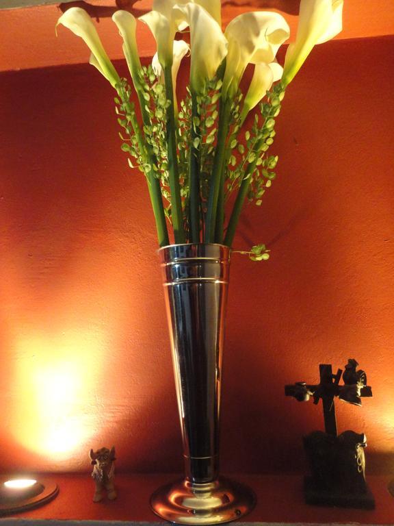 Cusco's Flat *