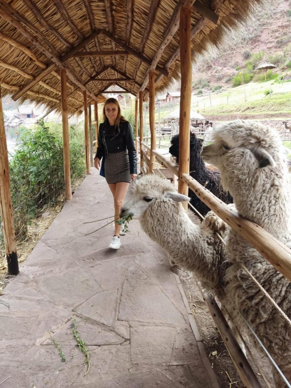 Pensión Inti Sumaq Wasi Cuzco
