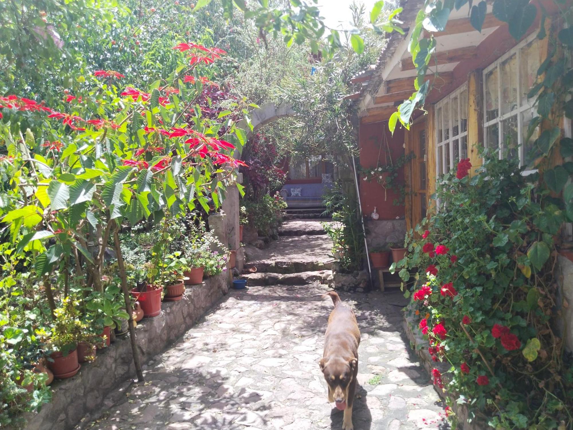 Casa De Arcos Homestay