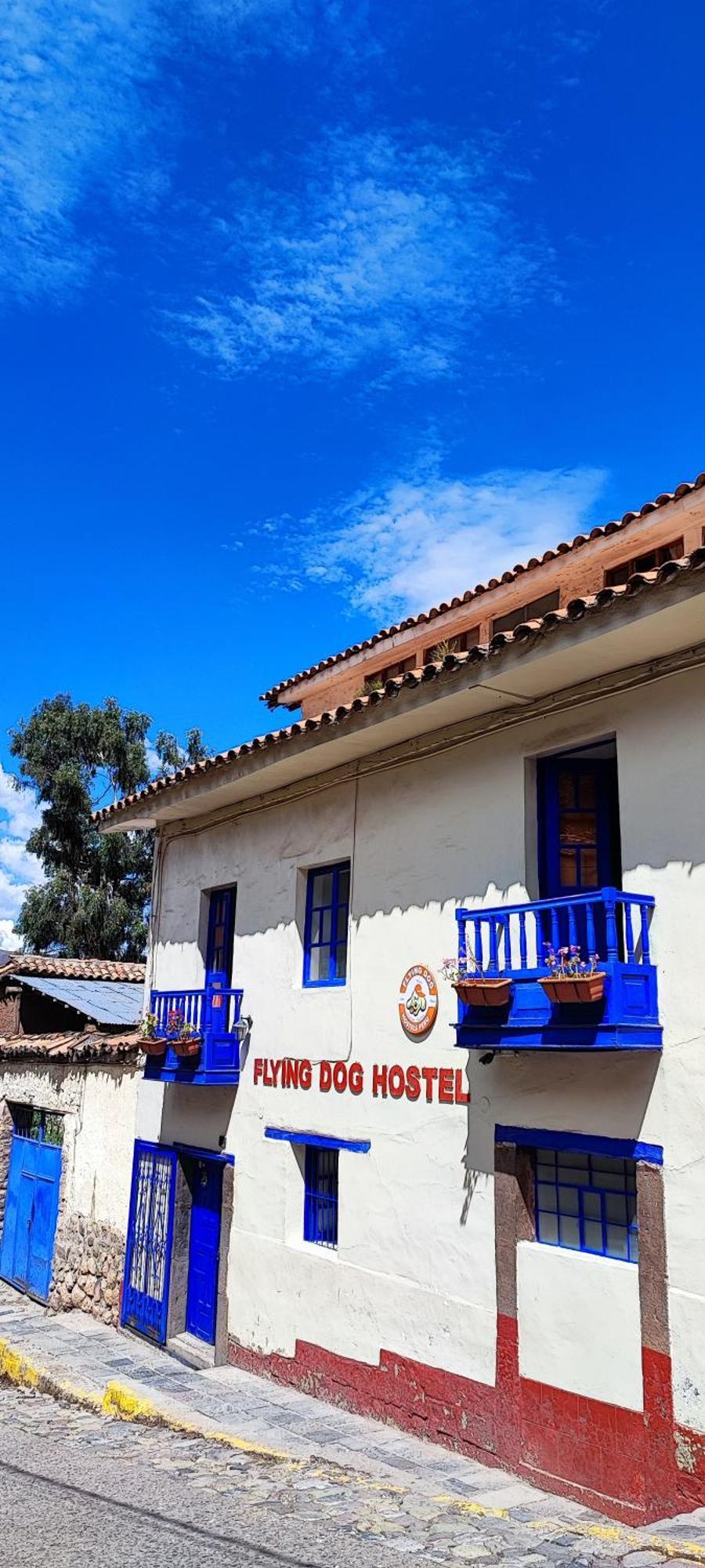 Flying Dog Hostal *