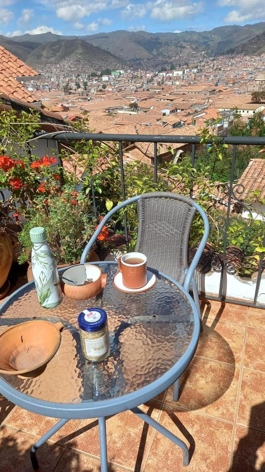 Eco-hotel Alemana Inn 3*