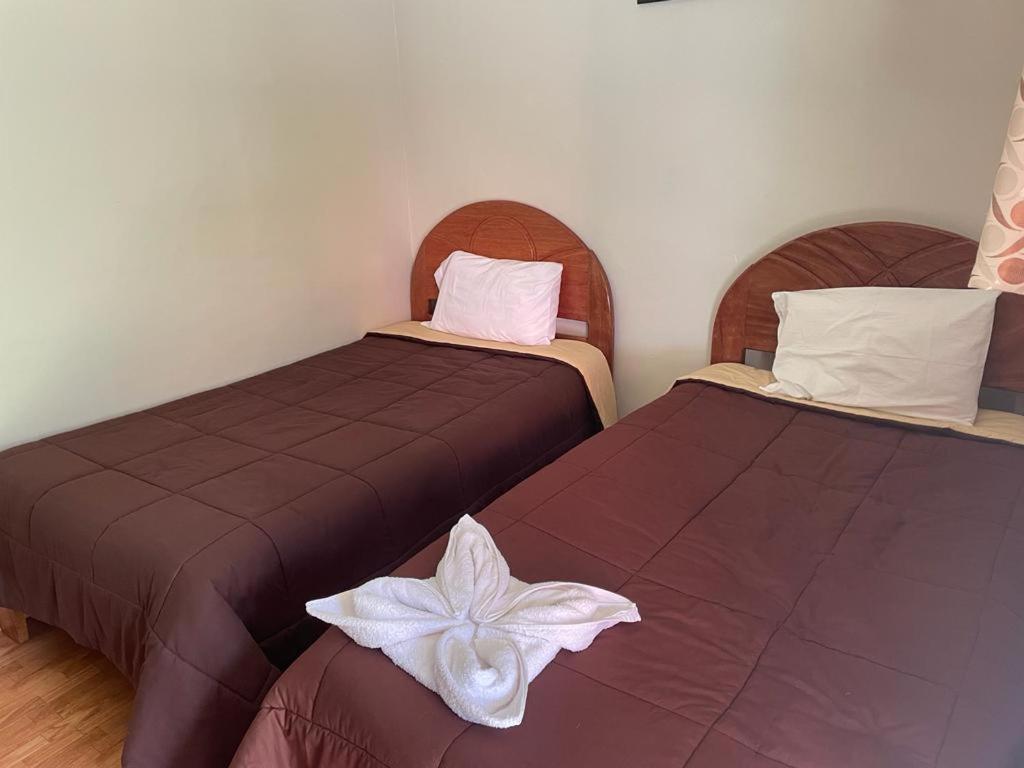 In Urubamba - Tupananchiskama Guest house *