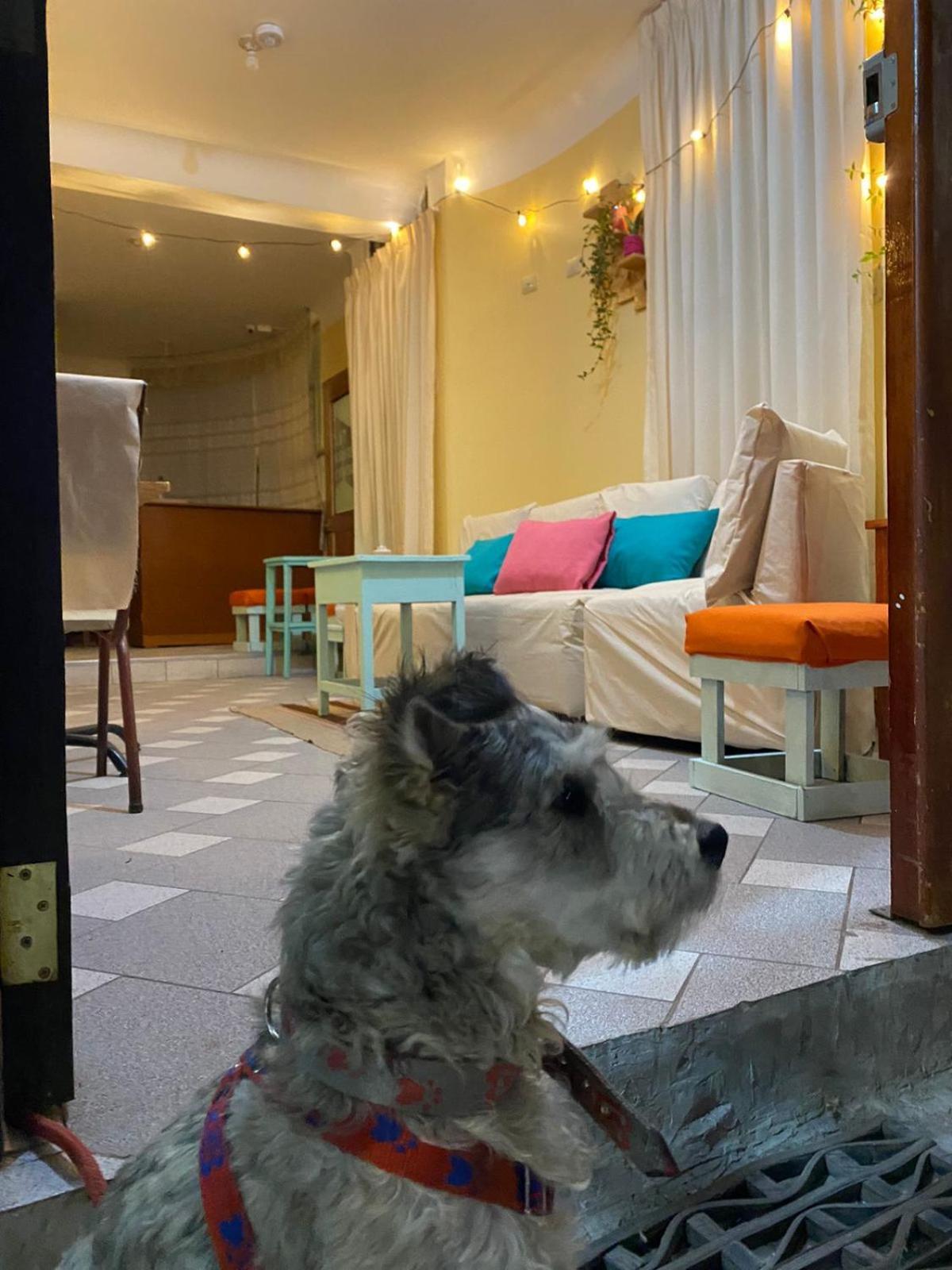 La Casa De Momo *