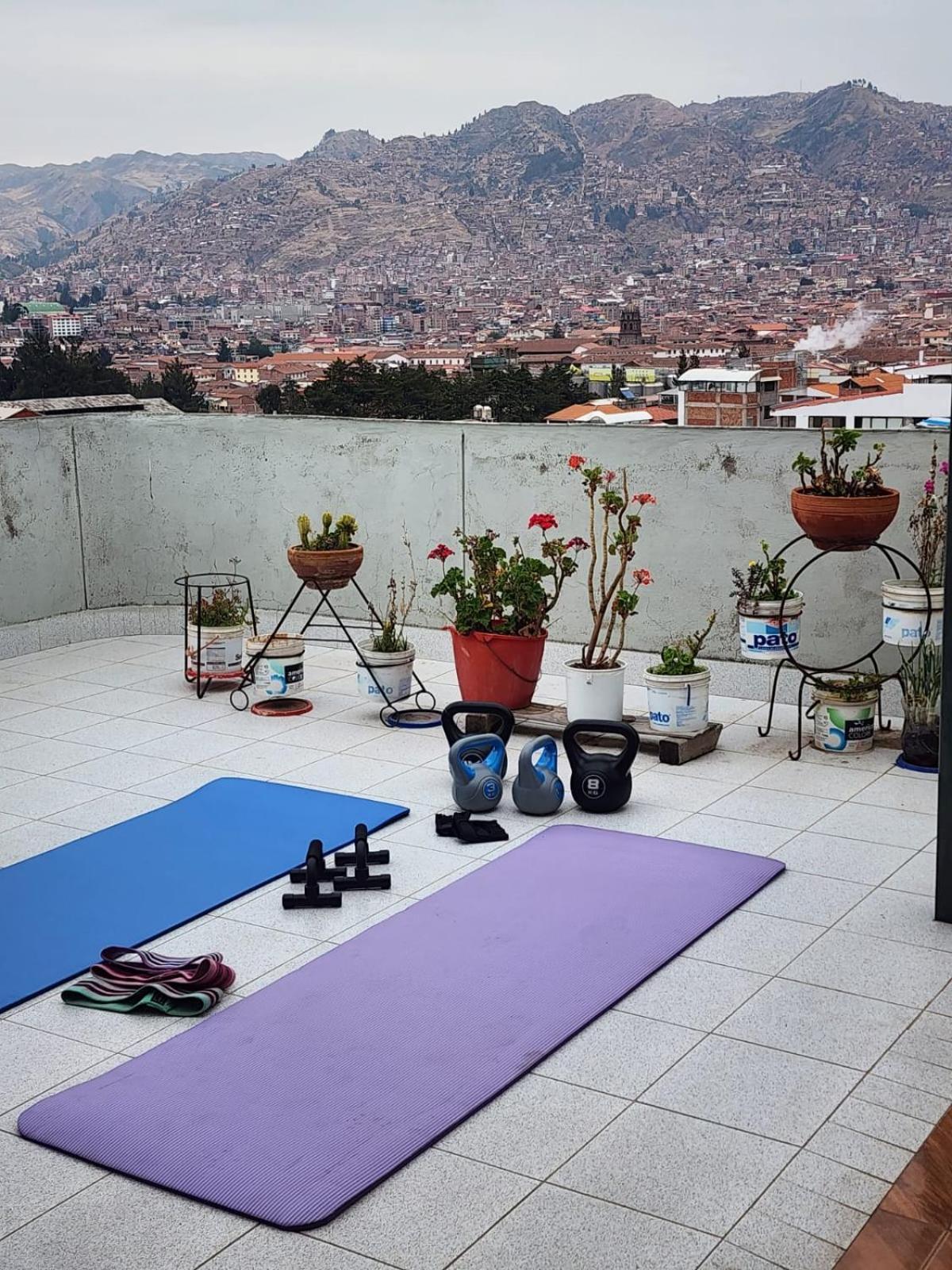 La Casa De Momo