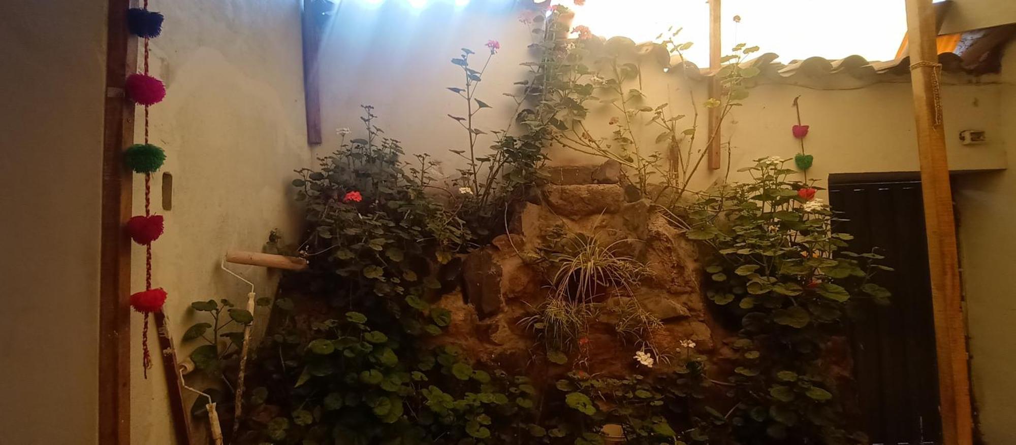 Rosita * Cusco