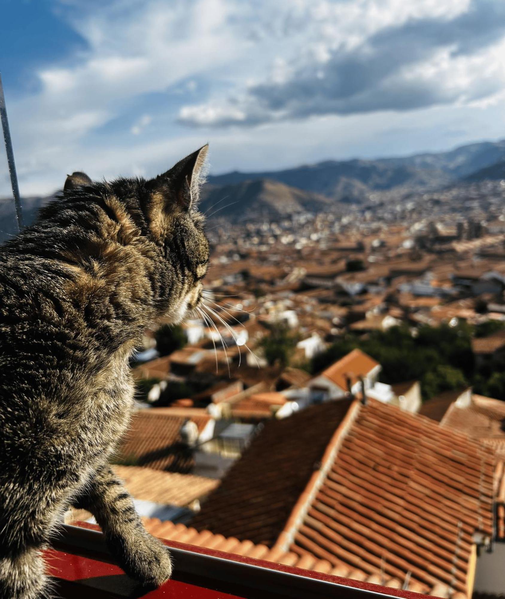 Summit Viewpoint House San Blas * Cusco