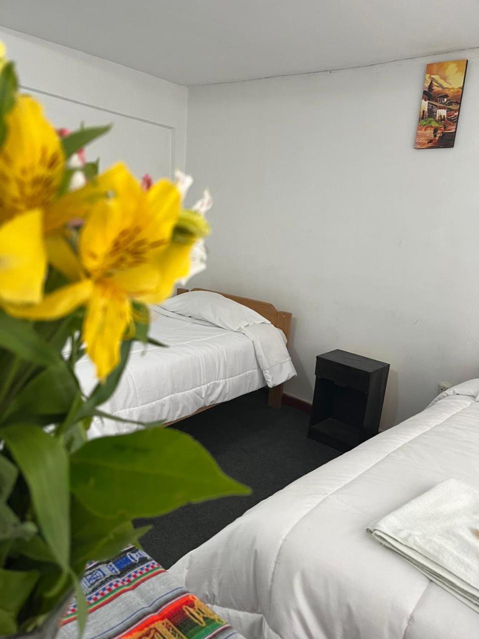 Enede Hostal