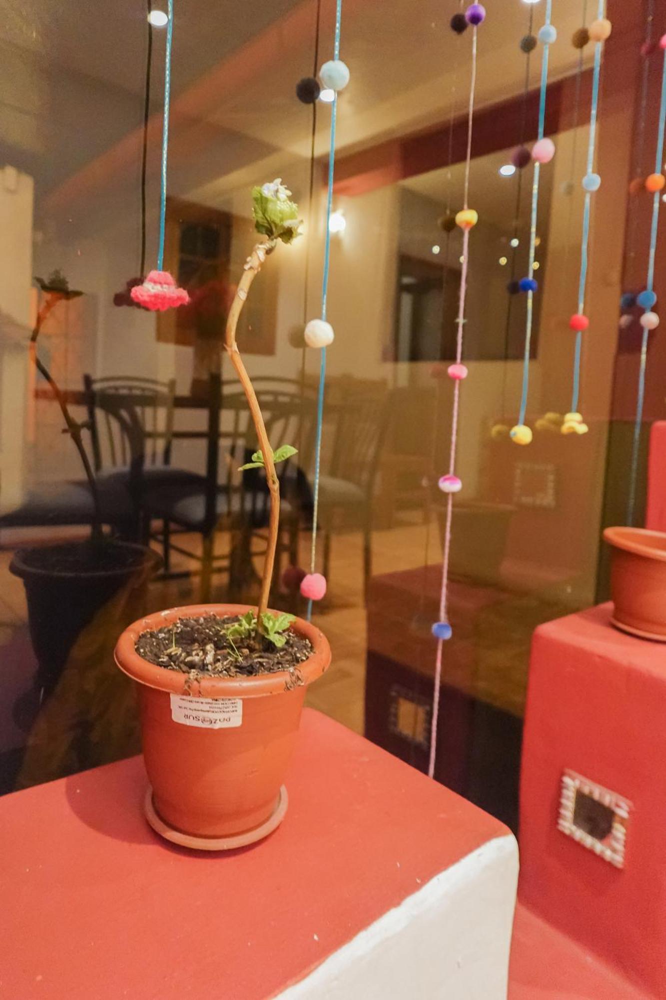 Warm And House With Spectacular View Of Pensión Cuzco
