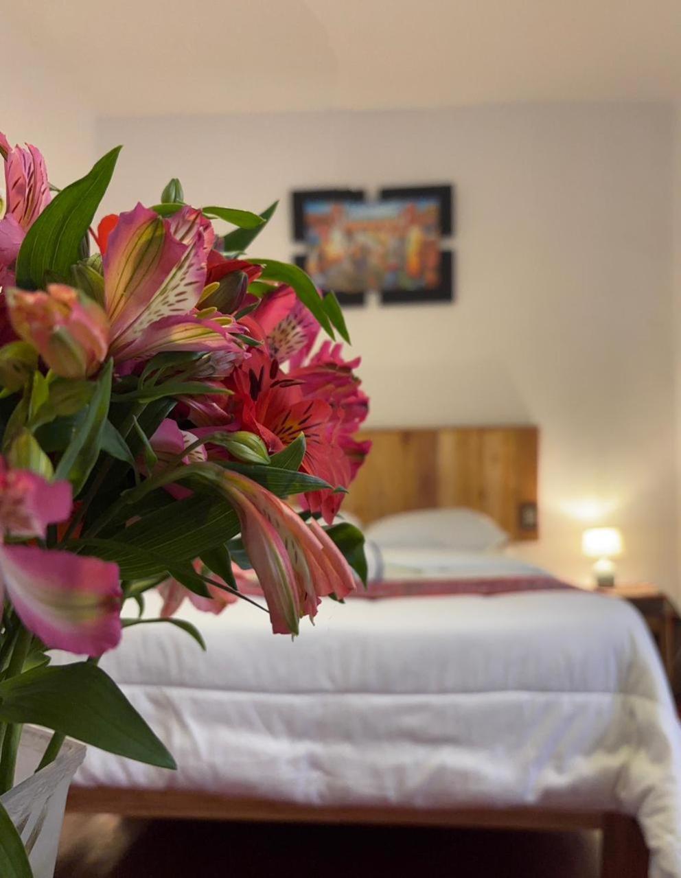 Hostel Morenas Backpackers *