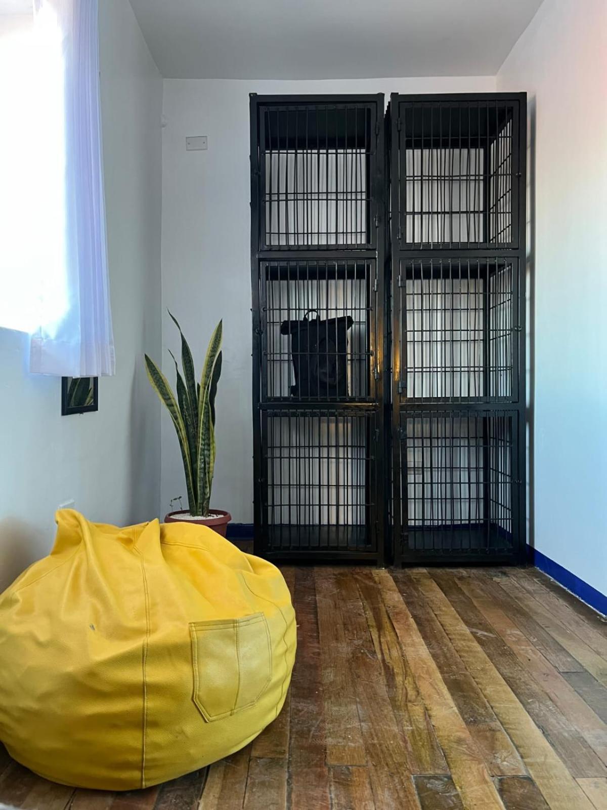 Albergue Haku