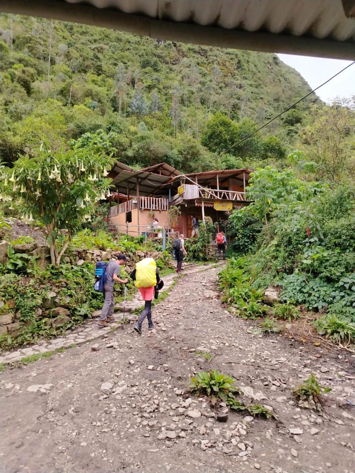 Samana Wasi Chaullay Cusco