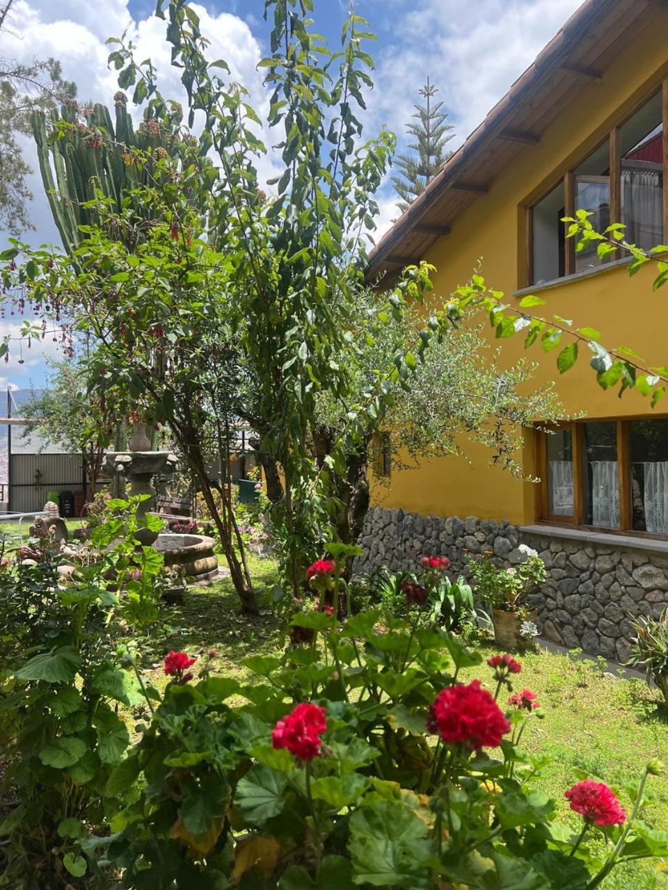 Guest house Yanapanakusun
