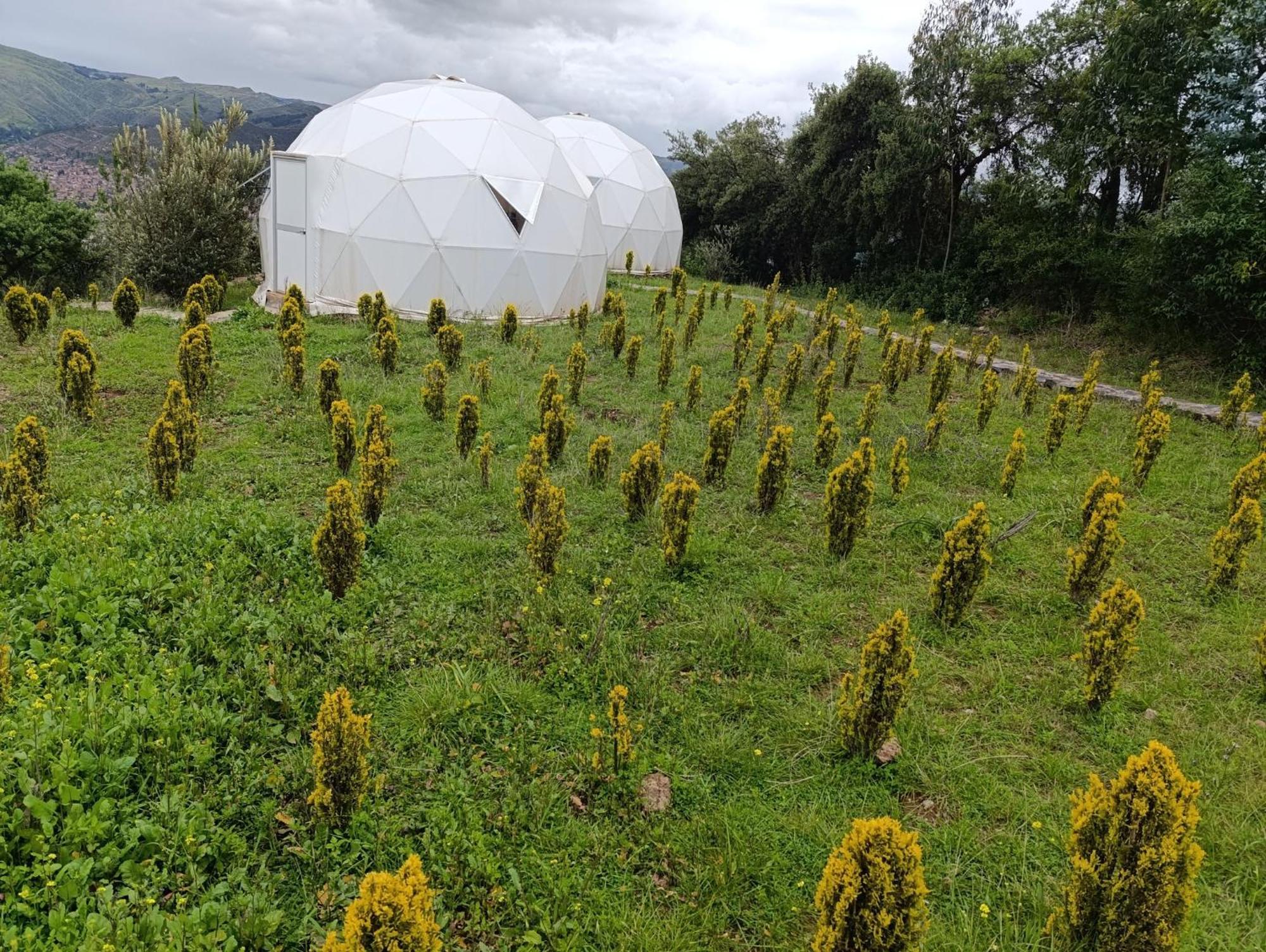 Domos Glamping & Nature 2 * Cusco