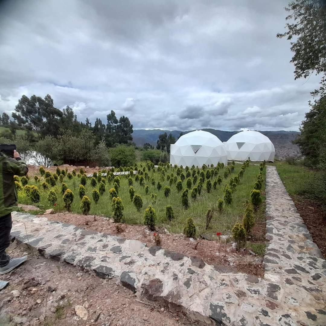 Domos Glamping & Nature 2