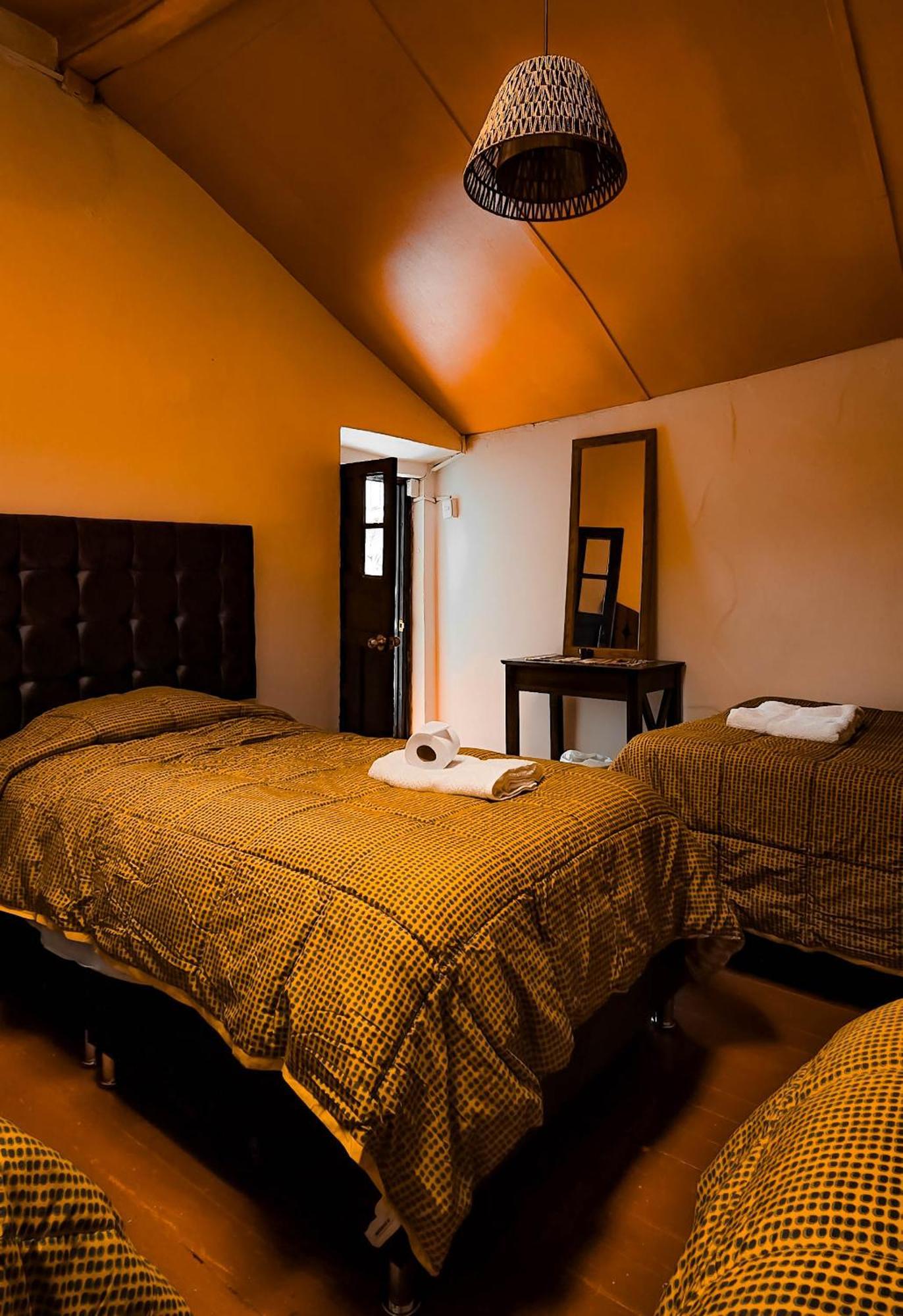 Guest house Terra House