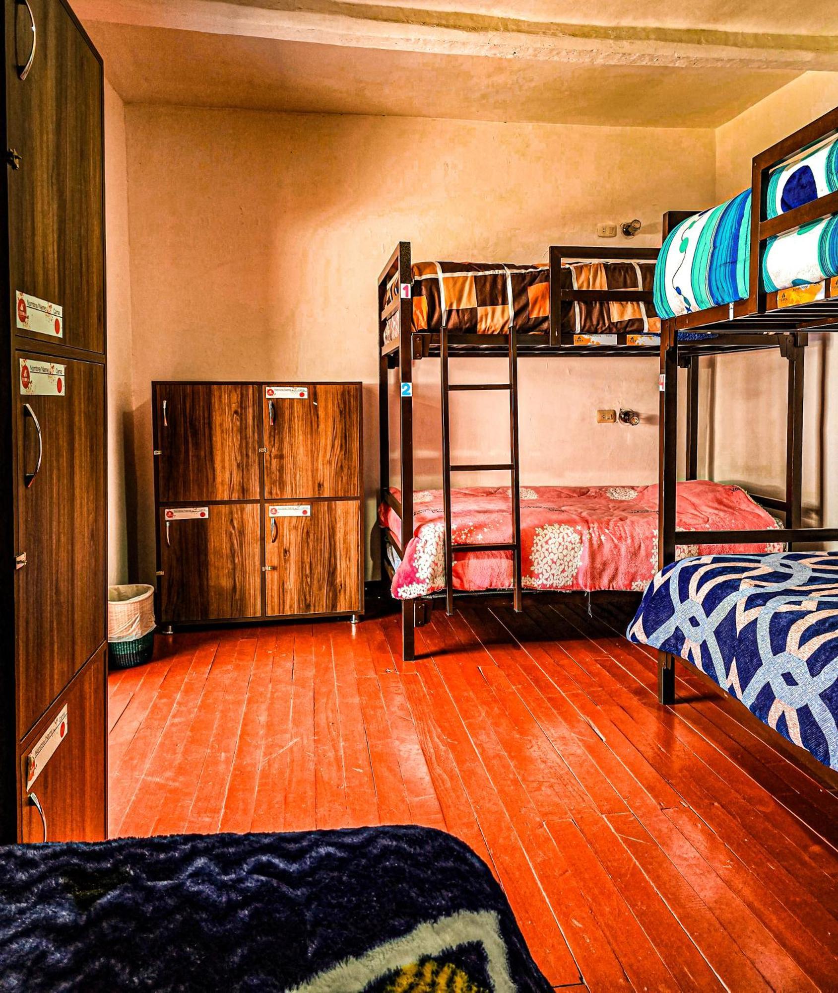 Terra House Guest house *