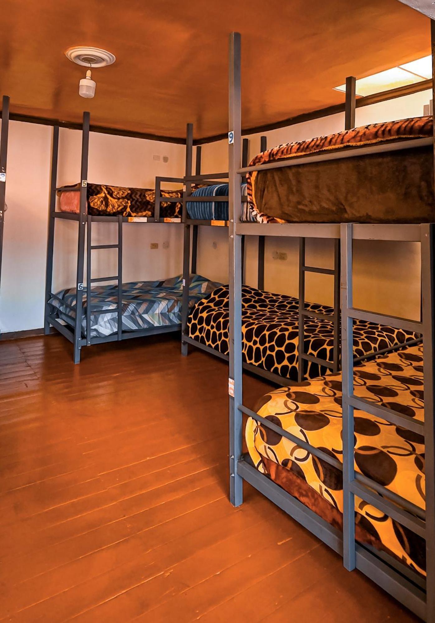 Terra House Guest house Cusco