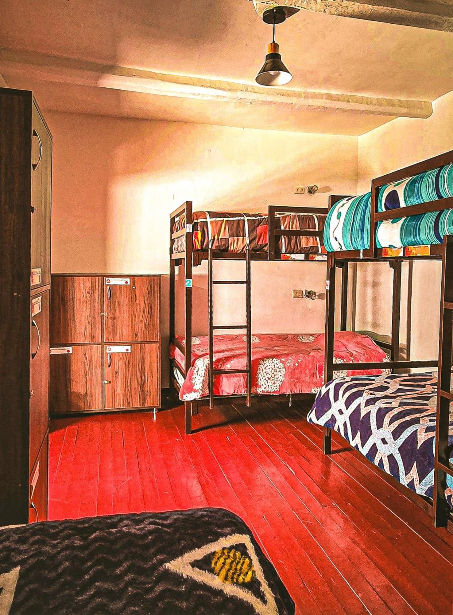 Guest house Terra House