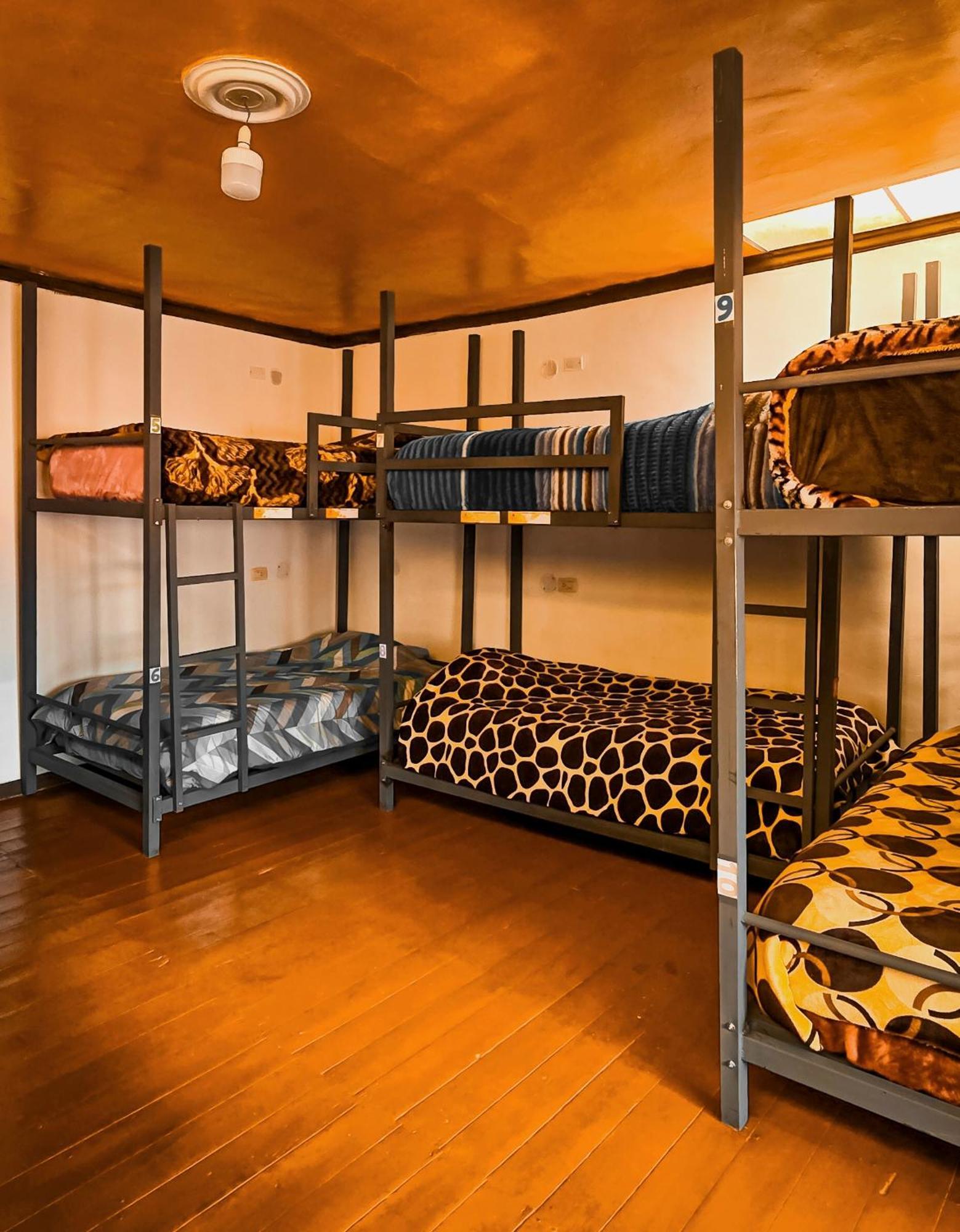 Terra House Guest house *